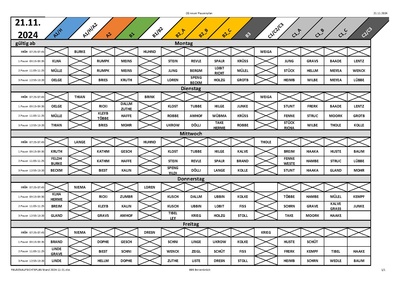 PAUSENAUFSICHTSPLAN Stand 2024-11-21.pdf