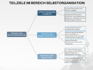 Teilziele im Bereich Selbstorganisation.png